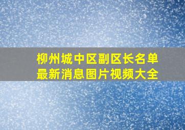 柳州城中区副区长名单最新消息图片视频大全