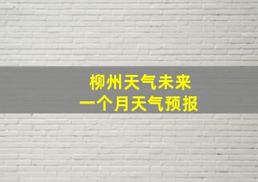 柳州天气未来一个月天气预报