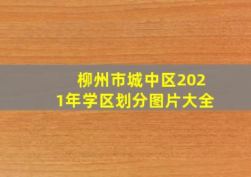 柳州市城中区2021年学区划分图片大全