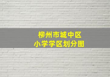 柳州市城中区小学学区划分图