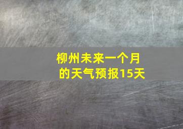 柳州未来一个月的天气预报15天