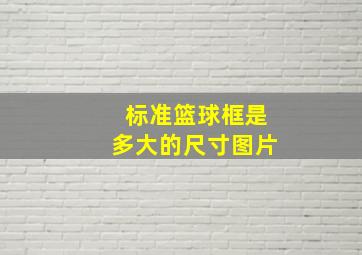 标准篮球框是多大的尺寸图片