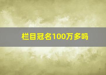 栏目冠名100万多吗