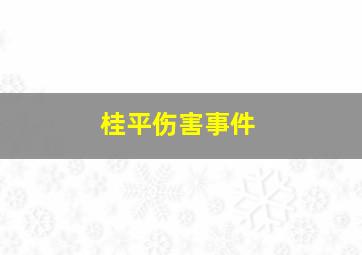 桂平伤害事件