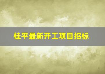 桂平最新开工项目招标