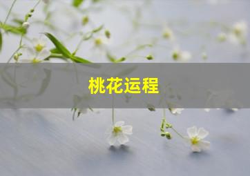 桃花运程