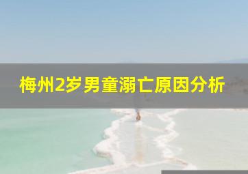 梅州2岁男童溺亡原因分析