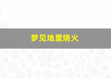 梦见地里烧火