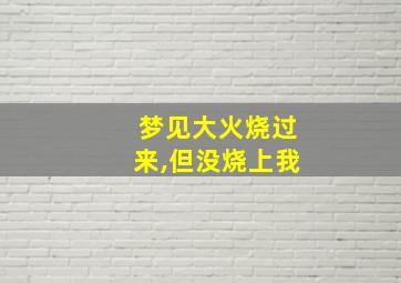 梦见大火烧过来,但没烧上我