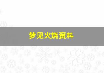 梦见火烧资料