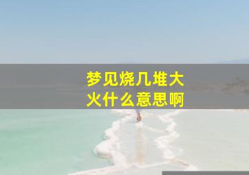 梦见烧几堆大火什么意思啊