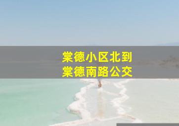 棠德小区北到棠德南路公交