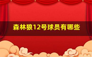 森林狼12号球员有哪些