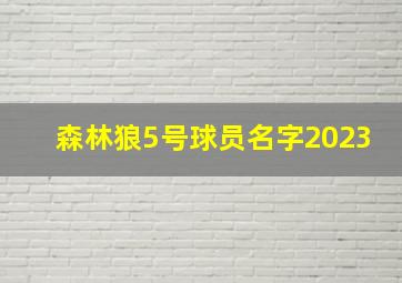 森林狼5号球员名字2023