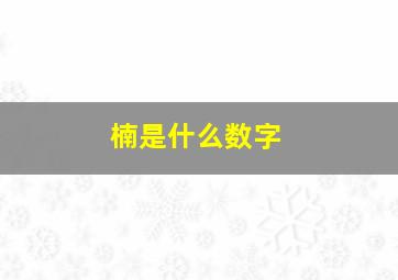 楠是什么数字