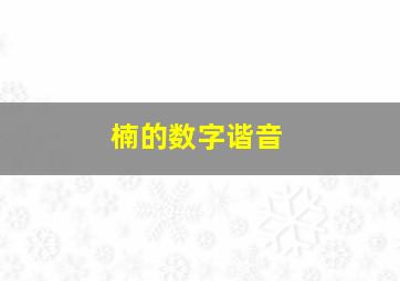 楠的数字谐音