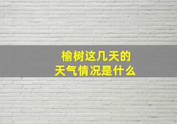 榆树这几天的天气情况是什么