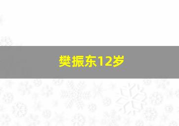 樊振东12岁