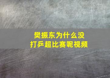 樊振东为什么没打乒超比赛呢视频