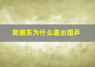 樊振东为什么退出国乒