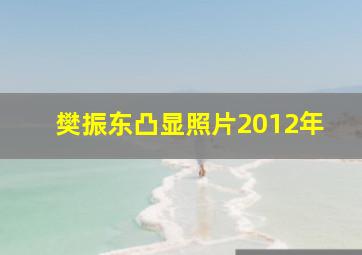 樊振东凸显照片2012年