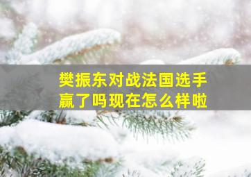 樊振东对战法国选手赢了吗现在怎么样啦