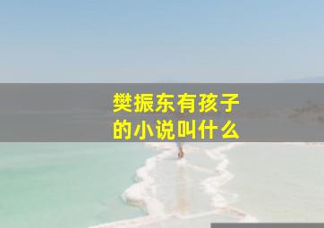 樊振东有孩子的小说叫什么