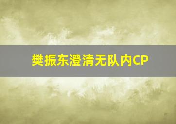 樊振东澄清无队内CP