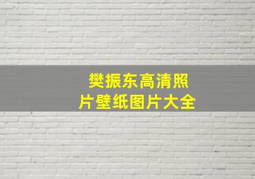 樊振东高清照片壁纸图片大全