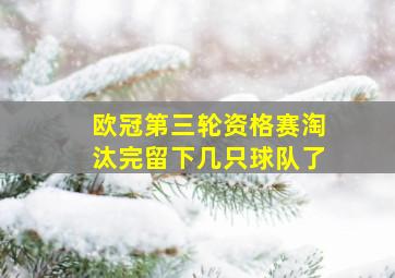 欧冠第三轮资格赛淘汰完留下几只球队了