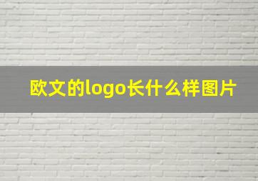 欧文的logo长什么样图片