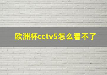 欧洲杯cctv5怎么看不了