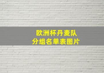 欧洲杯丹麦队分组名单表图片