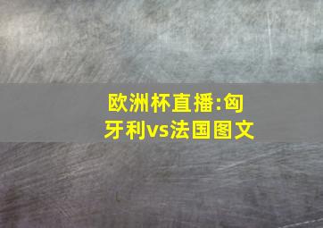 欧洲杯直播:匈牙利vs法国图文