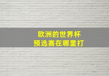 欧洲的世界杯预选赛在哪里打