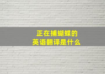 正在捕蝴蝶的英语翻译是什么