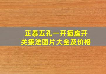 正泰五孔一开插座开关接法图片大全及价格