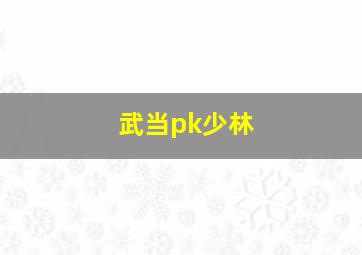 武当pk少林