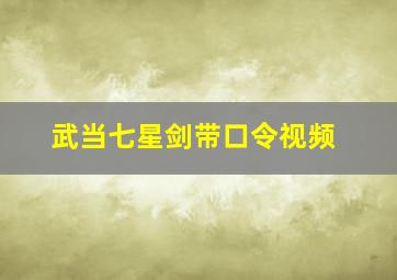 武当七星剑带口令视频