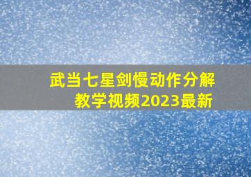 武当七星剑慢动作分解教学视频2023最新