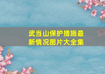 武当山保护措施最新情况图片大全集