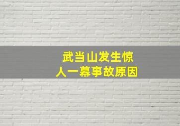 武当山发生惊人一幕事故原因