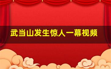 武当山发生惊人一幕视频