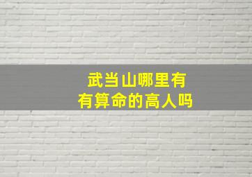 武当山哪里有有算命的高人吗