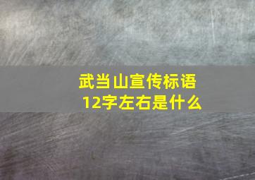 武当山宣传标语12字左右是什么