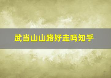 武当山山路好走吗知乎