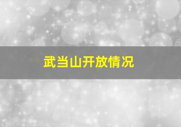 武当山开放情况