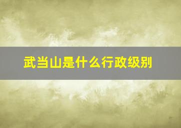 武当山是什么行政级别