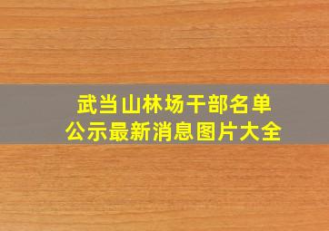 武当山林场干部名单公示最新消息图片大全