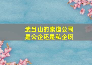 武当山的索道公司是公企还是私企啊